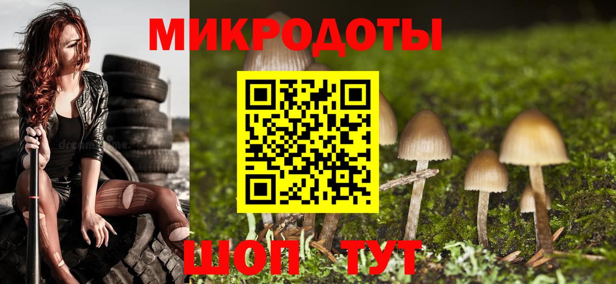 Псилоцибиновые грибы мицелий  Вход с VPN  Северобайкальск  Псилоцибиновые грибы Psilocybe 
